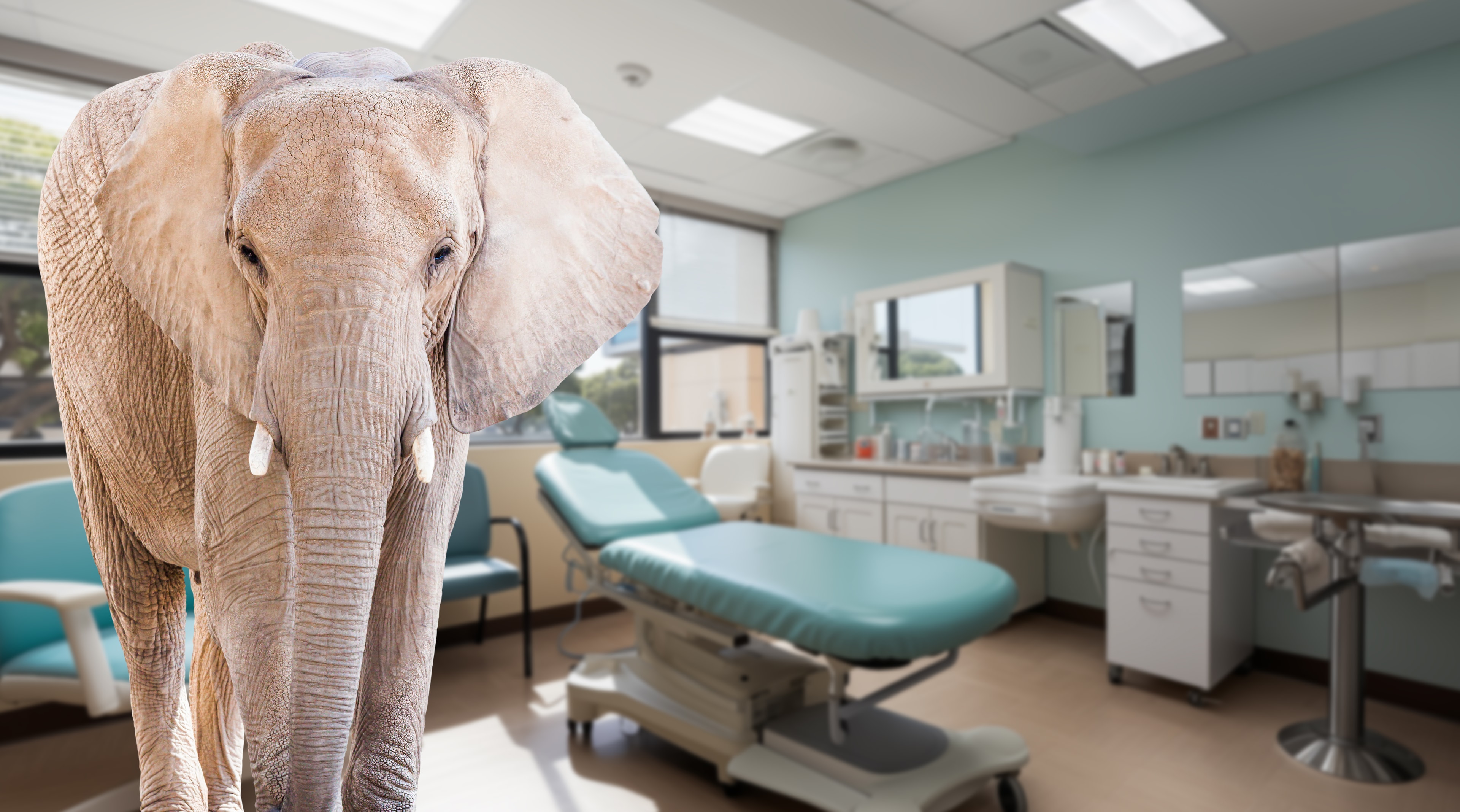 An elephant standing in a medical examination room — the elephant in the room